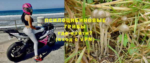 гидра Армянск