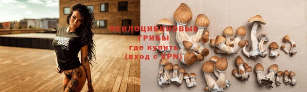 кокаин Арсеньев