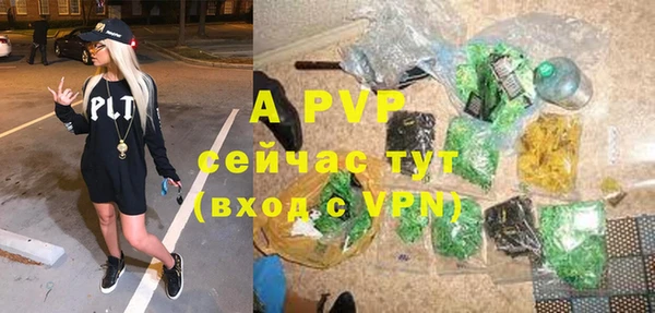 эйфоретик Аркадак